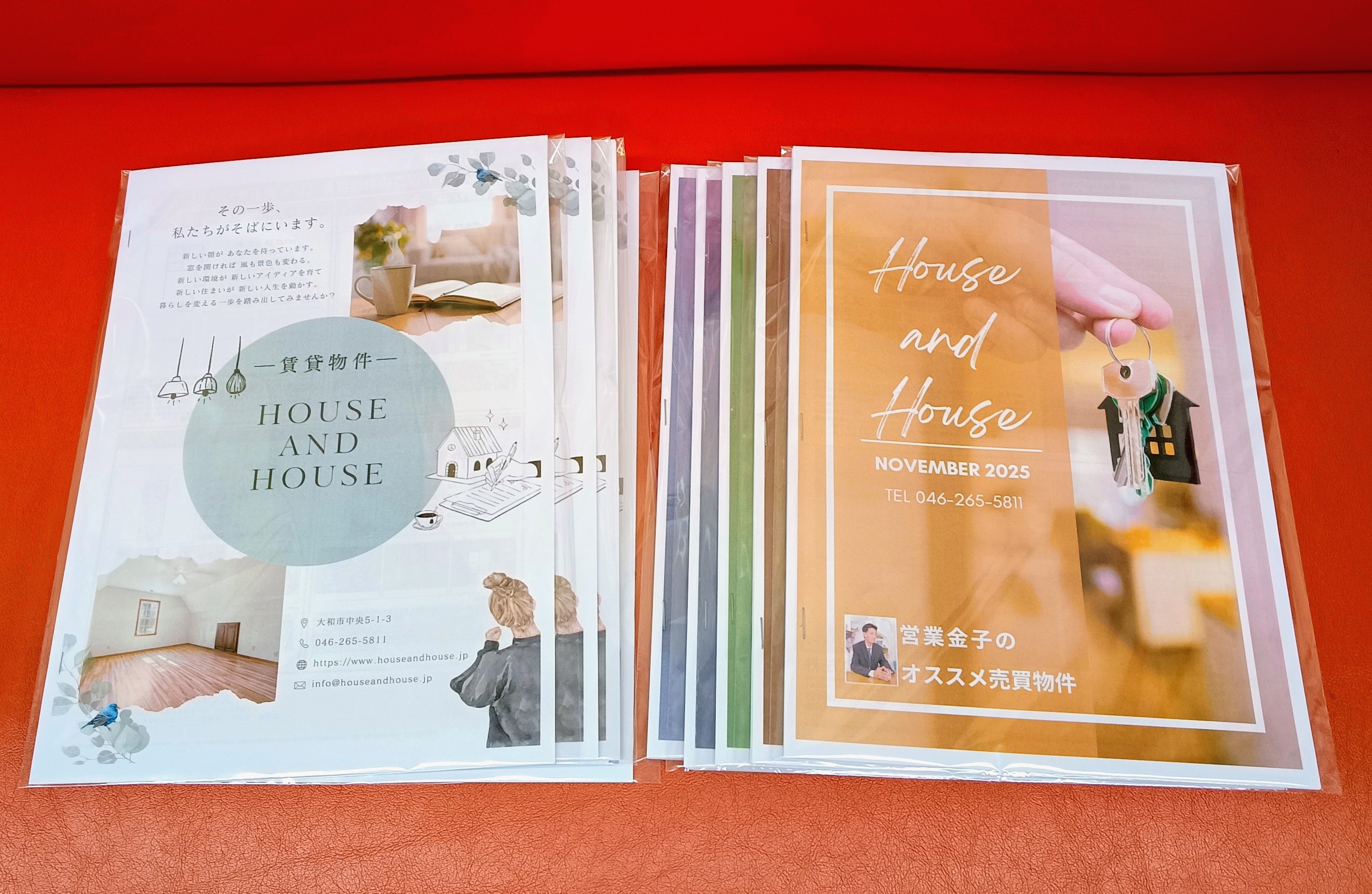 IMG_20251113_154857544 (1) (1)