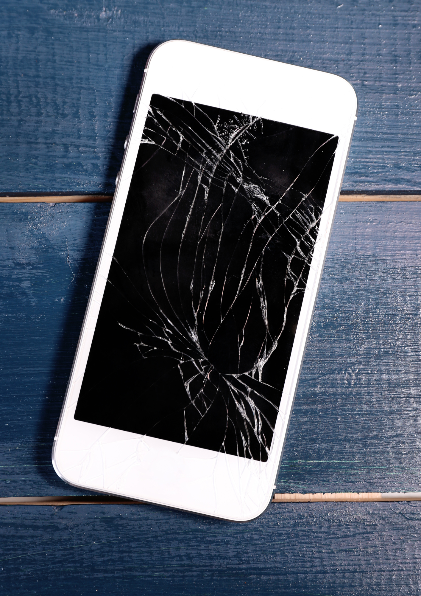 【表紙】担当オススメ物件 - 2025-11-20T103052.504